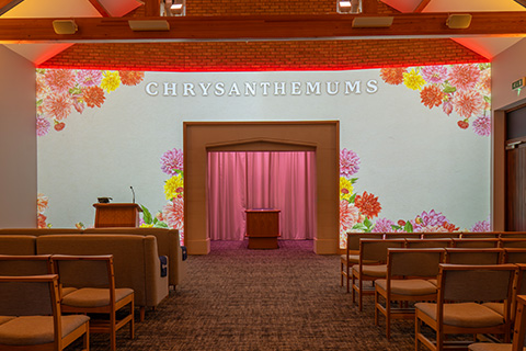 Chrysanthemums Projection Image