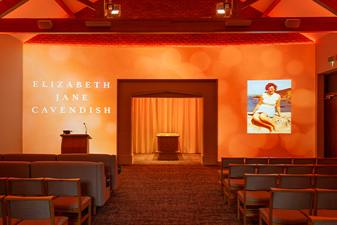 Classic Copper Projection Image
