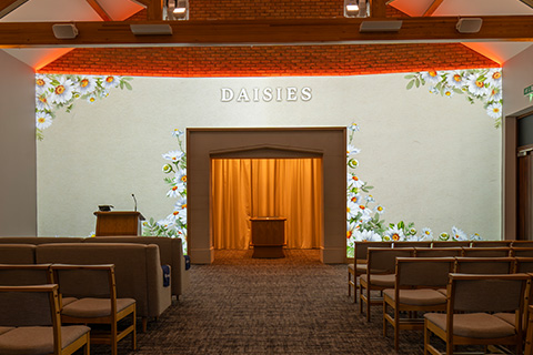 Daisies Projection Image