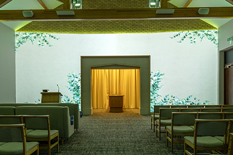 Eucalyptus Projection Image