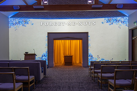 Forget-me-nots Projection Image