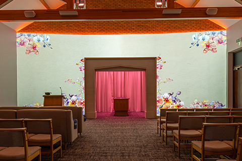 Orchids Projection Image