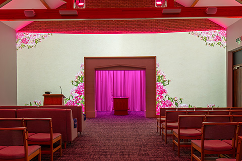 Peonies Projection Image