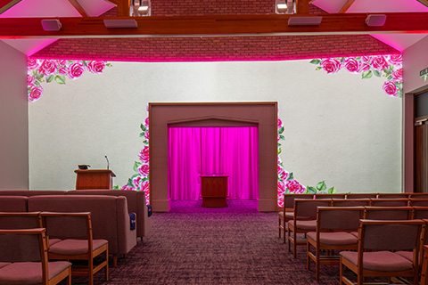 Pink Roses Projection Image