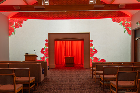 Red Roses Projection Image