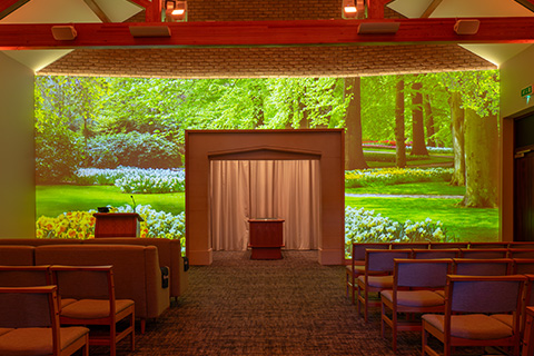 Spring Projection Image