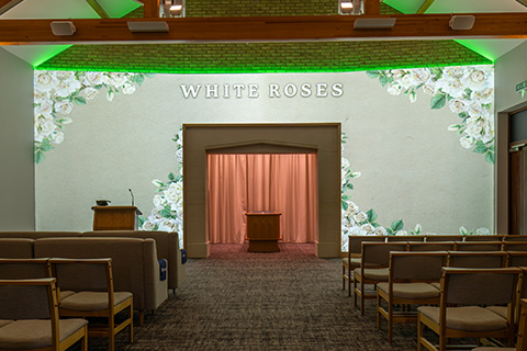 White Roses Projection Image