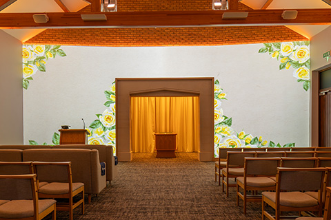 Yellow Roses Projection Image